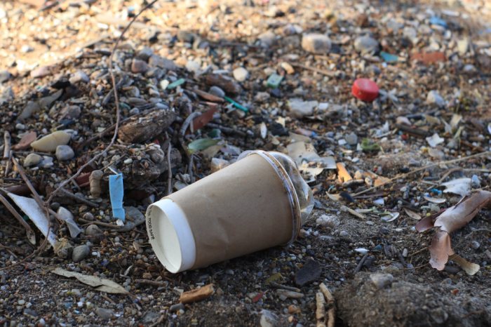 Ένα πρωινό, 50 σακούλες σκουπίδια στην παραλία του Ασπρόπυργου (video)